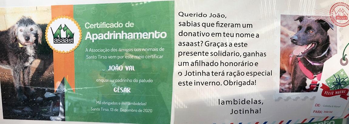 Apadrinhamento na "ASAAST"