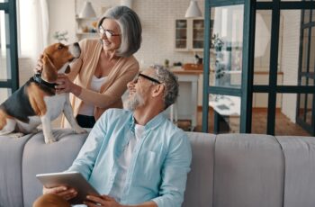 AVI - Transporte de Anmais Vivos