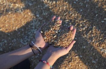 Escassez de Matérias-Primas