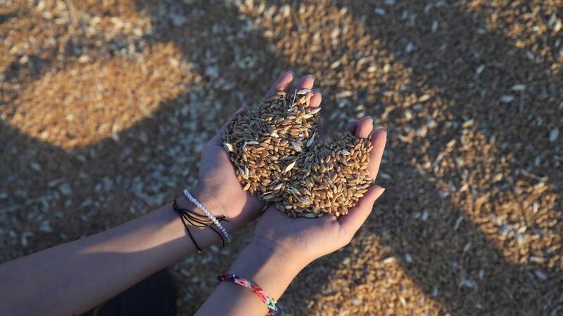 Escassez de Matérias-Primas